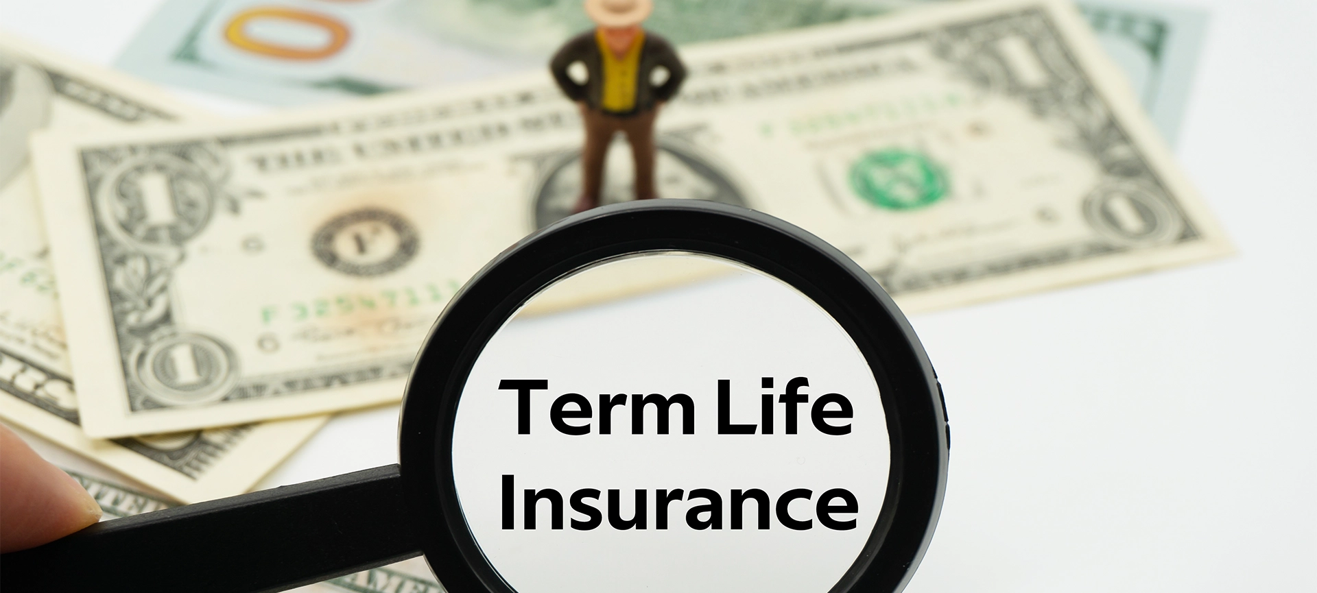 term life insurance cost