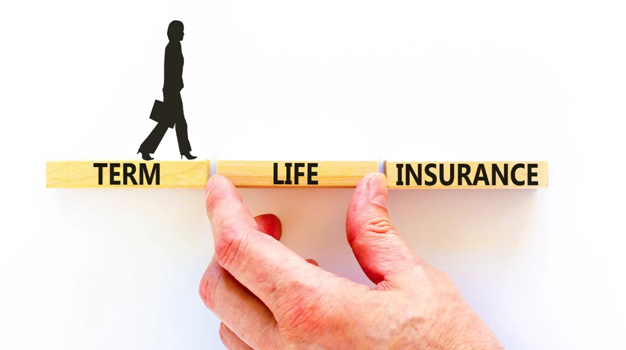 what is term life insurance